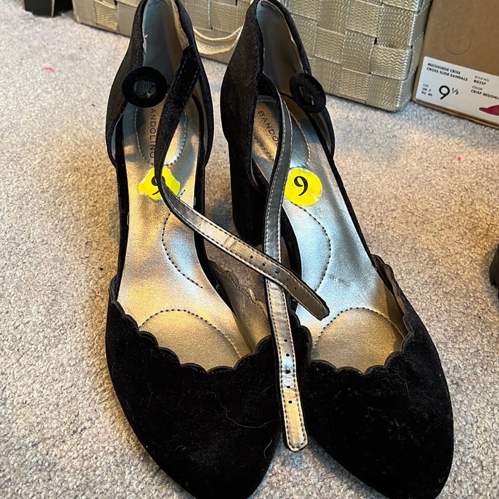 Black velvet with scalloped edge